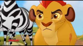 The Lion Guard - Le zebre - Dall'episodio 13