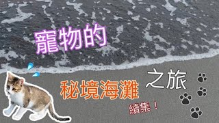 最棒的貓咪狗狗寵物出遊沙灘景點在這裡?!! | 宜蘭寵物礁溪一日遊景點 | 帶寵物去礁溪怎麼玩?| 宜蘭礁溪景點無人沙灘寵物出遊 | 寵物出遊好去處【CPI SM250 | 機車寵物出遊】