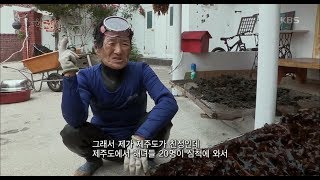 한국인의 밥상 - 쪽빛 바다, 네가 있어 내가 살았구나 ? 갈남항 해녀 이야기.20180614