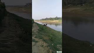 Beautiful Bakkhali River #shorts