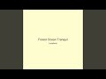 Forest Ocean Tranquil