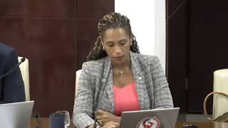 Video 7 Grisha Heyliger-Marten Parliament St Maarten PM Answers GEBE Questions ‎@STMAARTENNEWSCOM 