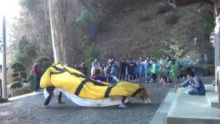 鵜住居虎舞　元旦初奉納　2017.1.1　鵜住神社①