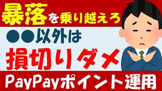 【暴落を乗り越えろ】PayPayポイント運用●●以外は損切りNGのワケ