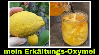 Oxymel aus 100% Zitronen | Zitronenschale und Zitronenkerne Sauerhonig Ansatz | Selbstversorgung