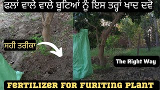 Fruiting Palnts vich khad Deen da Tareka !! ਫਲਾਂ ਵਾਲੇ ਵਾਲੇ ਬੂਟਿਆਂ ਨੂੰ ਇਸ ਤਰ੍ਹਾਂ ਖਾਦ ਦਵੋ