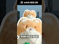 Sm 사옥에 수상한 인형 등장 #shorts