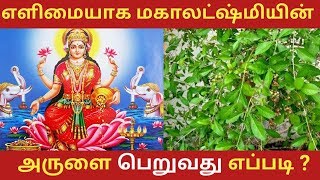 மகாலஷ்மியின் அருளை பெறுவது எப்படி ? | AANMEEGAM TIPS IN TAMIL | Pugaz Media |