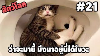 Ep.21 สัตว์โลกกวนตีน - [ พากย์นรก ] | easy boy