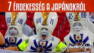 7 érdekesség a japánokról ~ JapánPercek ~ Animológia