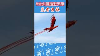 8米火鳳遨遊天際，見者吉祥。#鳳凰 #中國文化 #吉祥如意