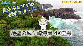 断崖絶壁の城ケ崎海岸drone japan 4k