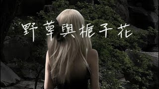 陶笛《野草与栀子花》 最近单曲循环的一首曲子 枯萎的野草怎配得上栀子花 风音工坊 小米演奏