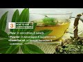 lemon verbena herbazest