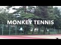 monkey tennis！my tennis partner is a monkey♪