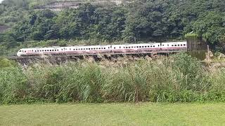 瑞芳左岸櫻花步道鐵道秘境拍攝地13:31分拍攝深奧高低隧道和415次新左營發車經由南迴線開往樹林的普悠瑪自強號