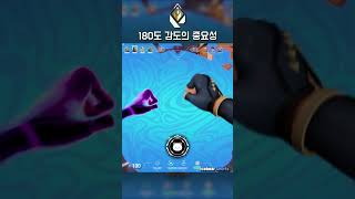 【발로란트】 감도 정할때 180도를 기준으로 하는 이유ㅣ얼곰 IceBear