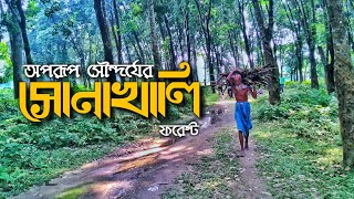 🌳অপরূপ সৌন্দর্যের সোনাখালি ফরেস্ট 😍| Beauty of Sonakhali Forest | Cinematic Shots | Dipayan Datta