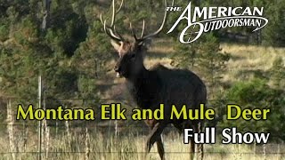 Musselshell Montana Mule Deer Elk Hunting