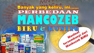 Perbedaan Mankozeb Biru dan Kuning | Keunggulan dan Manfaat Plus-plus Mankozeb Biru #mankozebbiru