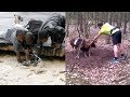 Top Animal Rescues Emotional Inspiring Funny Will Melt Your Heart Compilation Real Life Heroes