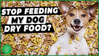 Is Dry Pet Food Bad For Our Pets? Advice From The Ultimate Pet Vet