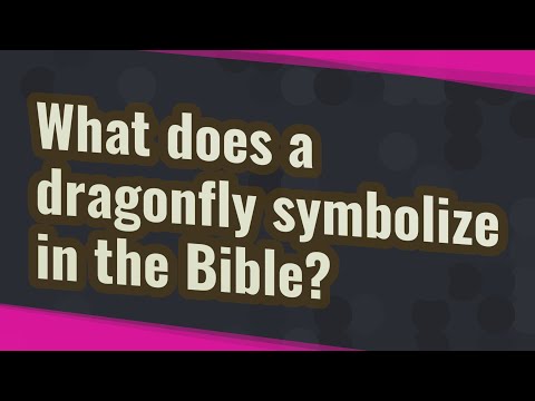 What does the dragonfly symbolize in the Bible?