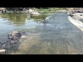 river sivan temple in krishnagiri doddametrai shivan temple bandapalli baireshwarar sivan temple