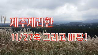 제주제라한 11월27일 토요 경마