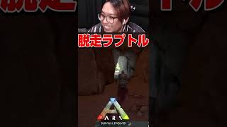 ラプトル縛りでラプトルに逃げられる男。#shorts【KTRGaming ARK 実況】