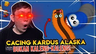 Nyobain Skin CACING KARDUS ALASKA! Kerad Juga! - Worms Zone Indonesia