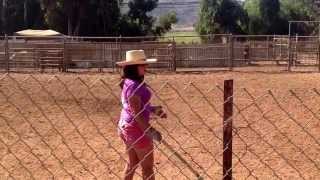 Herding instructions