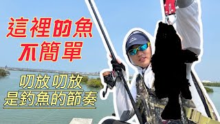 【跟著柏佑兒】台南磯釣!生態豐富的野場!釣魚的節奏叨放叨放!是什麼鑽洞的巨物???瓜瓜~紅槽~石斑~(Fishing in TAIWAN)