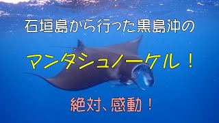 石垣島の海でマンタシュノーケル