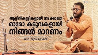 എല്ലാ അറിവിന്റേയും തുടക്കം നിശബ്ദതയിൽ നിന്നുമാണ് | Swami Bhadraanand | Cherthala Temple | Kerala