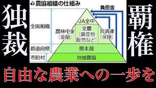 【農協改革で本来の競争を】日本の農業が衰退している理由は輸出入問題ではなく農協の既得権益!?