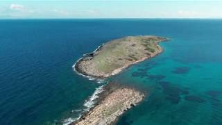 Vravrona Islands and Seagulls!