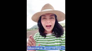 #ที่ดินสวย #ที่ดินวิวเขา #ที่ดินแบ่งขาย #ที่ดินสุพรรณบุรี โครงการขวัญข้าว