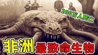 非洲“最可怕”的10大神秘生物，第一名每年导致75万人死亡，被科学家称为人类屠夫#世界之最 #世界之最top #腦洞大開 #top10 #動物 #地球最top #非洲 #前10名