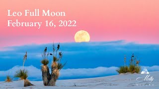 Leo Full Moon ~ Dynamic Push To Take A Risk, Ready Or Not! Your Heart + Soul Growth Lights The Way