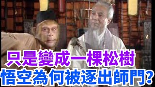 西遊記：悟空為何變棵松樹就被菩提趕出師門？你看生死簿上寫了啥！【史曰館】#古代歷史 #歷史故事