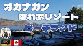 【美景色4K】オカナガン湖畔の小さな町ピーチランドをお散歩してみましょう！