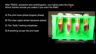 Trizol: Reagent for RNA, DNA, and Protein Isolation