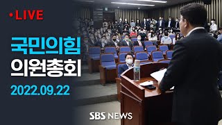 '주호영 원내부대표단' 인선 - 국민의힘 의원총회 / SBS