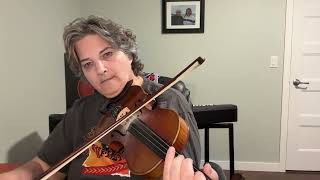 Day 341 - Dubuque - Patti Kusturok’s 366 Days of Fiddle Tunes