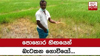 පොහොර හිඟයෙන් බැටකන ගොවියෝ...