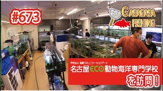 名古屋ECO動物海洋専門学校の水族館アクアリスト専攻を訪問！