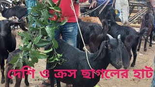 অজানা এক বিখ্যাত ছাগলের হাট, অবস্থান নওগাঁ জেলা আএাই থানায়, হাটের নাম আহসানগঞ্জ।