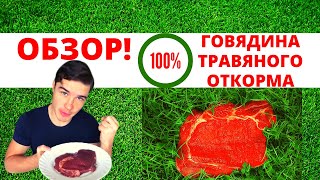 Говядина травяной откорм - 100%!  Ферментированный СТЕЙК РИБАЙ - ОБЗОР ВРАЧА!