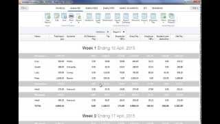 Payroll Reporting and Analysis